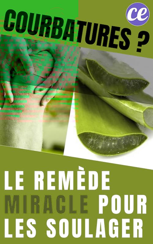Comment soulager les courbatures avec de l'aloe vera