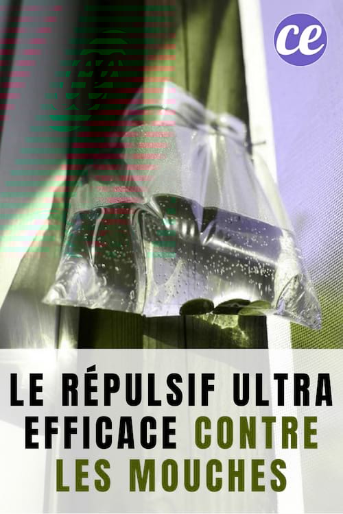 Un sac avec zip rempli d'eau pour éloigner les mouches.