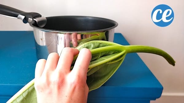 frotter la casserole avec une feuille de rhubarbe pour la protéger