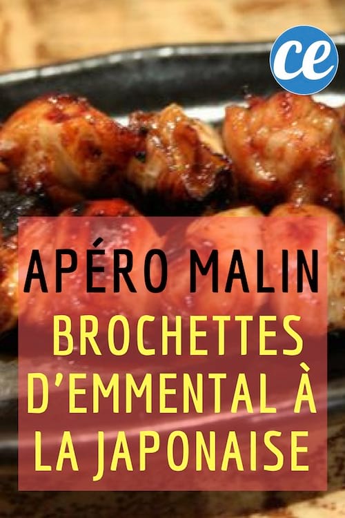 recette des brochettes japonaises
