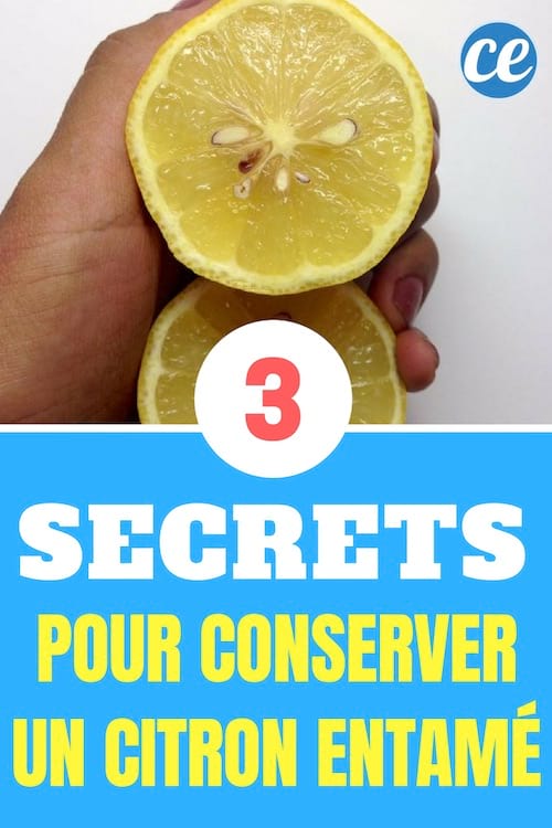 Mes 3 Secrets Pour Conserver Un Citron Entame