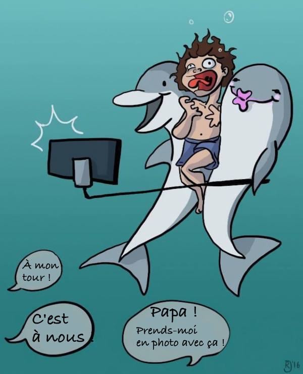 dauphin qui se fait photographier avec un humain