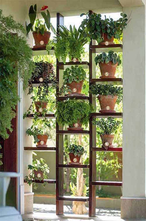 une étagère posée sur la terrasse permet de faire un jardin vertical et de faire un brise-vu