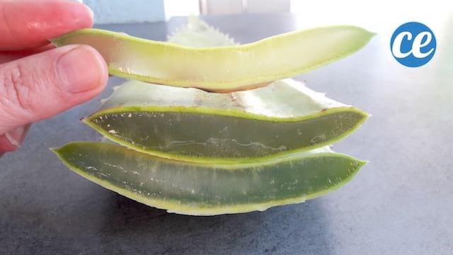 Utilisez de l'aloe vera pour hydrater la peau qui a pris le soleil