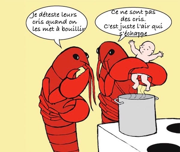 un homard fait cuire un humain