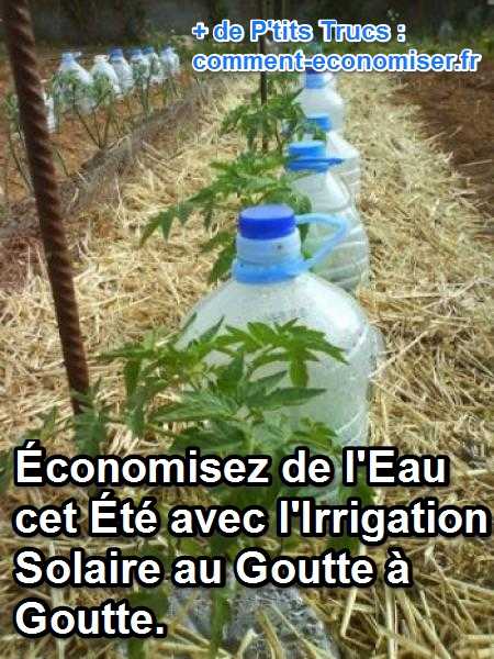 une technique d'irrigation solaire économique