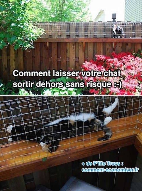 Et voilà, votre chat va pouvoir prendre l'air sans risque :-)