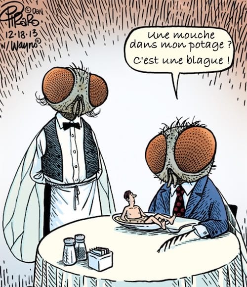 mouche qui mange un potage avec un humain dedans