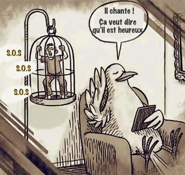 oiseau qui écoute chanter un humain en cage