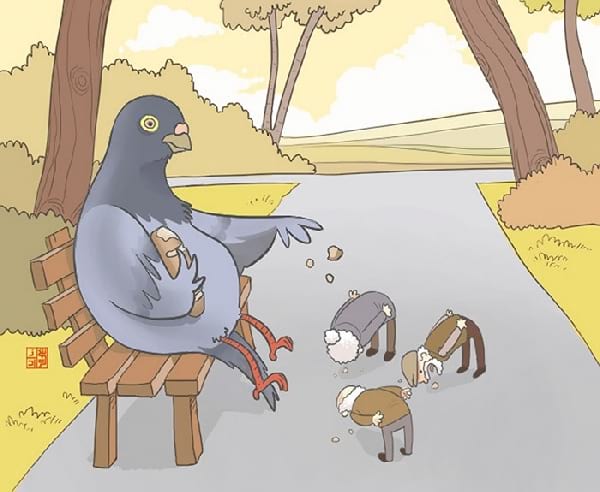 pigeon-qui-donne-a-manger-aux-humains