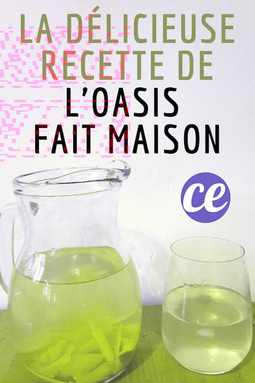 la recette facile et rapide pour faire de l'oasis à la maison