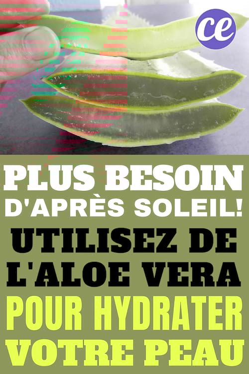 une feuille d'aloe vera coupée pour hydrater la peau exposée au soleil