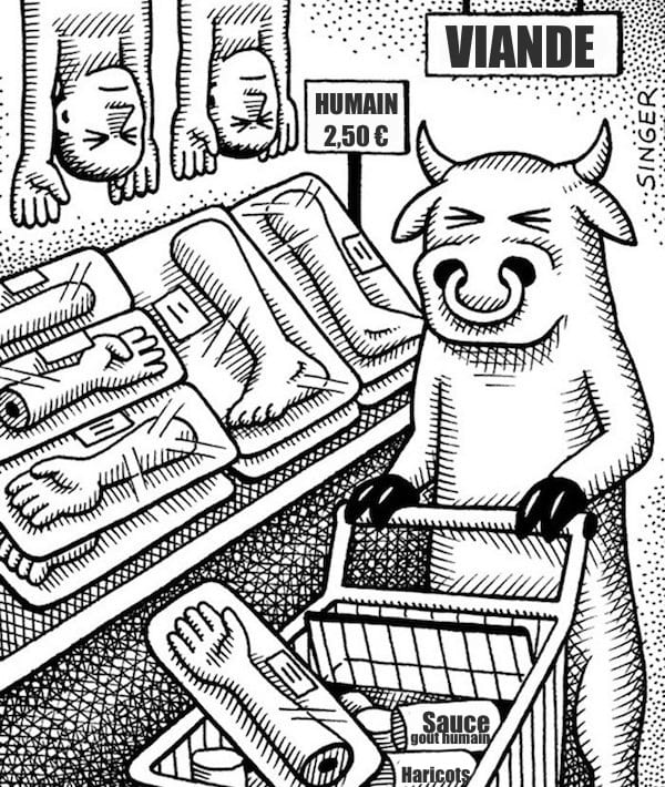 une vache qui fait ses courses dans le rayon viande humaine