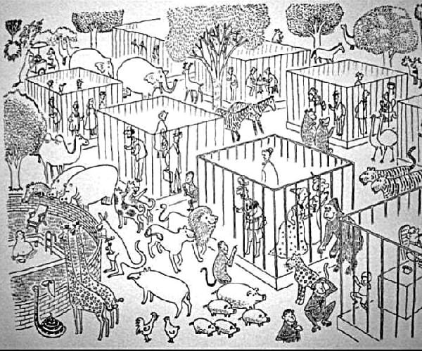 zoo-avec-des-humains