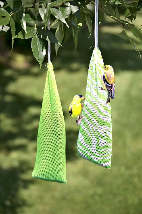 mangeoire oiseaux dans chaussette