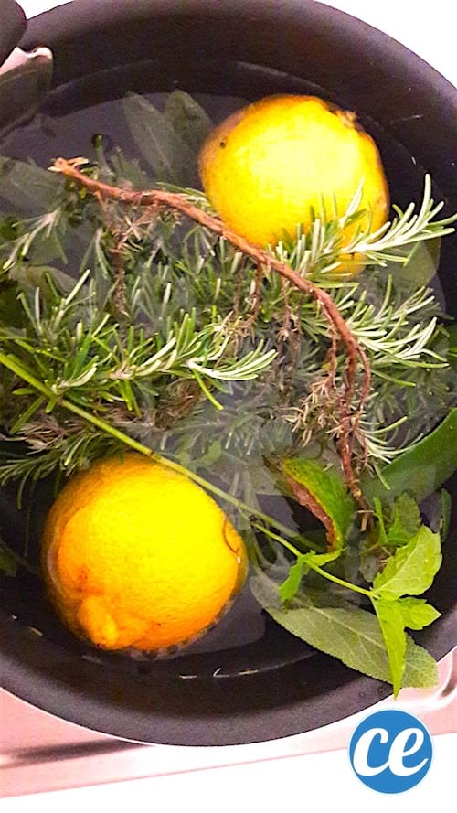 une décoction désodorisante aux herbes aromatiques et aux écorces d'agrume