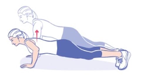 description de l'exercice des pompes