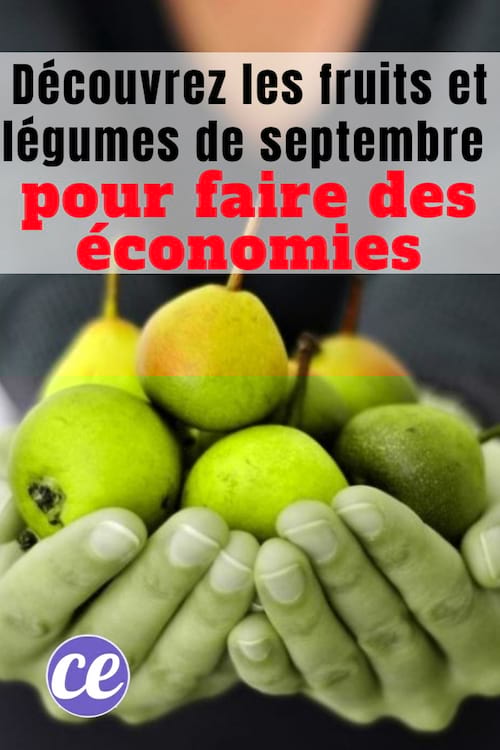 la liste des fruits et légumes du mois de septembre