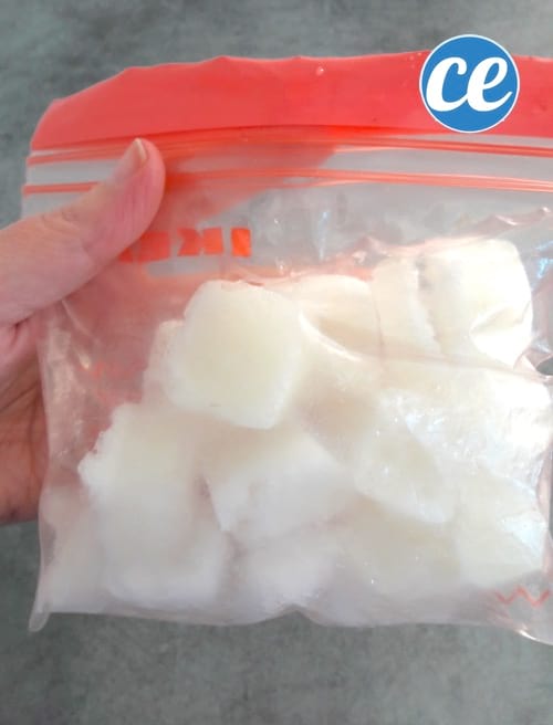 les glaçons d'aloe vera sont dans un sac plastique qui ferme