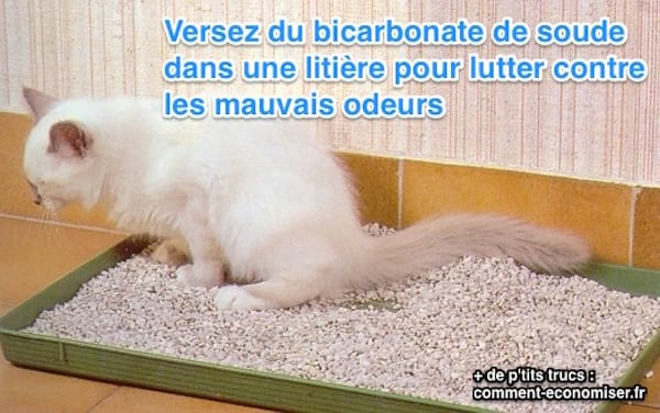 verser bicarbonate dans la litière pour lutter contre les mauvaises odeurs