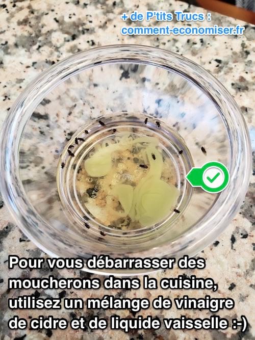 Comment se débarrasser des moucherons dans la cuisine avec vinaigre