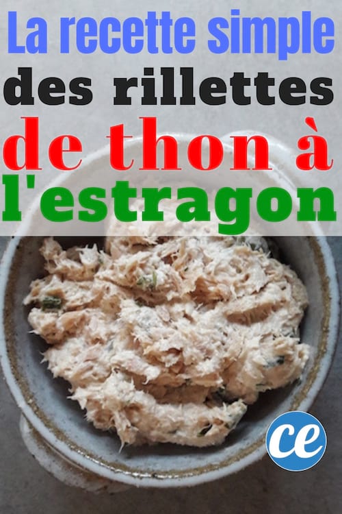 la recette facile des rillettes de thon