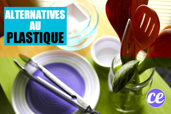 Pour éliminer le plastique de votre vie, utilisez des alternatives en verre, bois, bambou, caoutchouc et acier inoxydable.