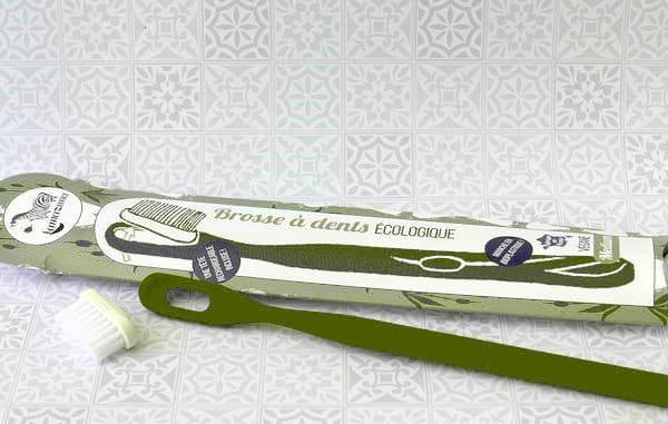 Pour éliminer le plastique de votre vie, utilisez des brosses à dents à tête changeable.