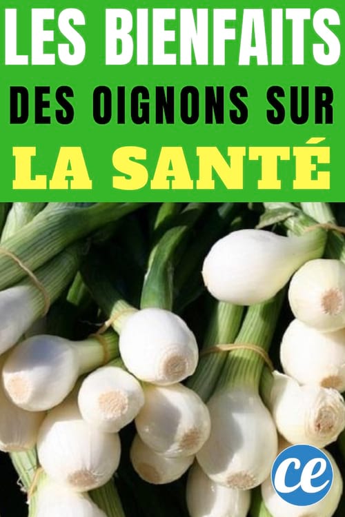 Les Bienfaits Des Oignons Sur La Santé 