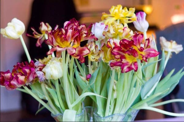 la vodka aide à faire tenir les fleurs plus longtemps