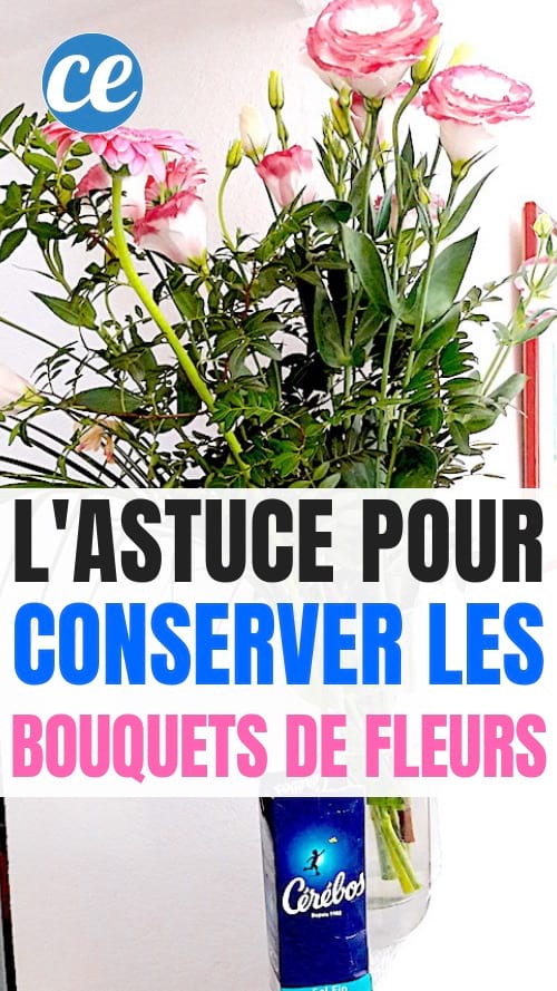 Une petite pincée de sel dans l'eau permet de conserver les fleurs coupées plus longtemps