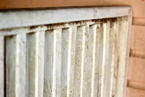 Comment nettoyer une surface pleine de moisissure ?