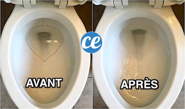 Abattant de WC : comment le blanchir efficacement ?