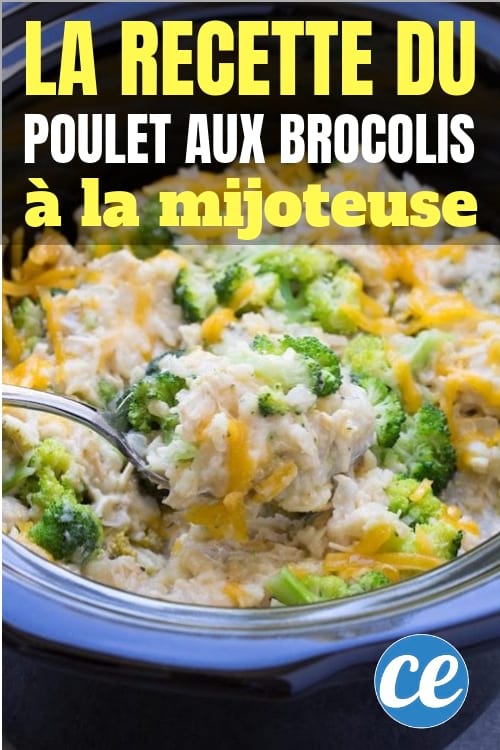 Casserole de poulet facile à faire avec la mijoteuse