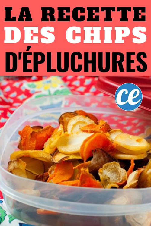 Ne Jetez Plus Vos épluchures De Légumes La Recette Facile Des Chips Zéro Déchet