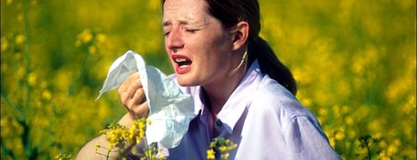 soulager le rhume des foins