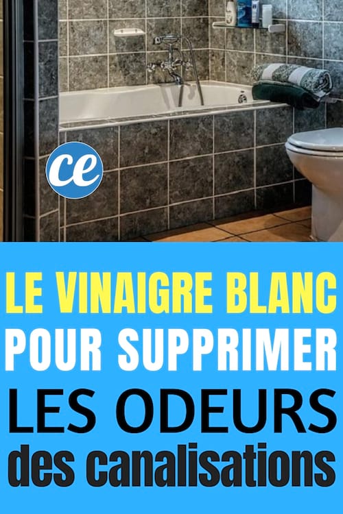 Le Vinaigre Blanc Pour Supprimer Les Odeurs Dans Les Canalisations