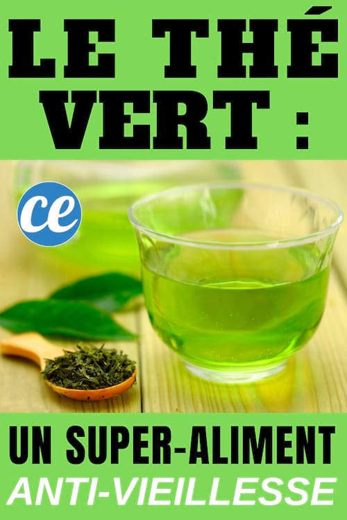 Thé vert : un super-aliment qui peut augmenter votre espérance de vie