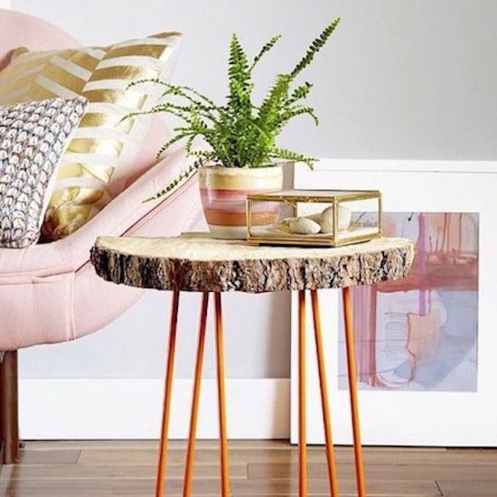 Petite Nephrolepis exaltata dans un salon