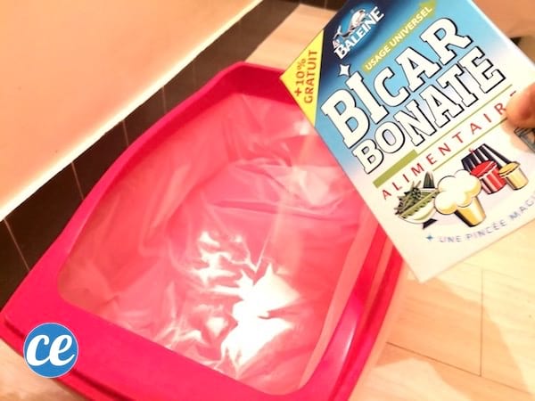 saupoudrer du bicarbonate de soude dans le fond de la caisse du chat