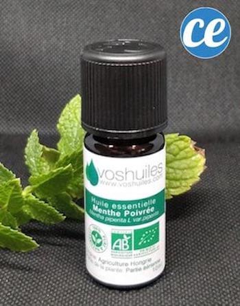 Acheter de l'huile essentielle de menthe poivrée pas cher