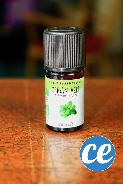 L'huile essentielle d'origan est un remède naturel et ultra-efficace pour soigner les rhumes.