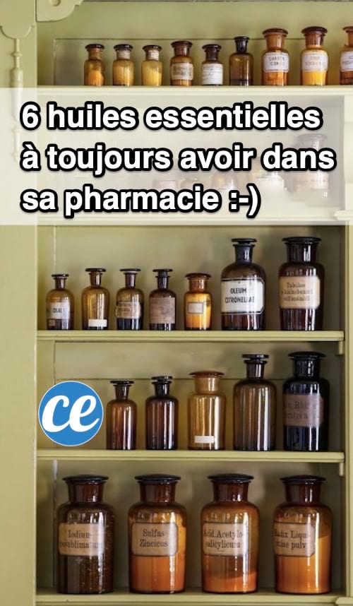 Le top 8 des huiles essentielles à avoir chez soi - CPC - Pharma