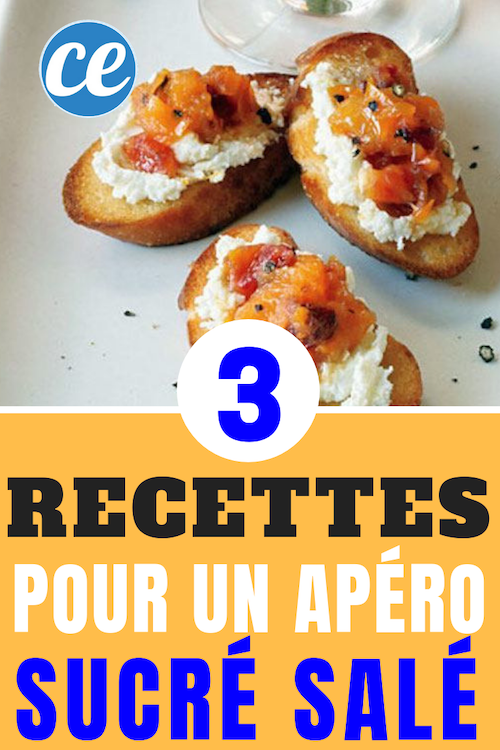 apéro toasts chèvre abricots