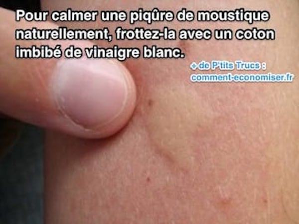 le vinaigre blanc pour apaiser une piqûre d'insecte ou d'orties