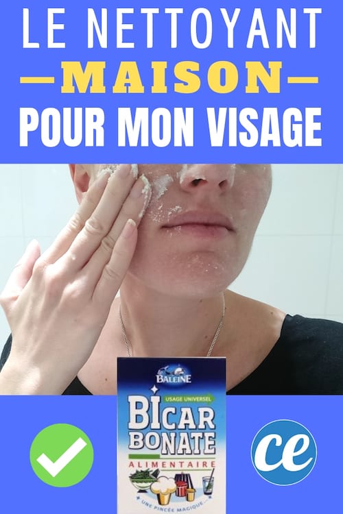 Comment fabriquer son nettoyant visage fait maison facilement et rapidement.