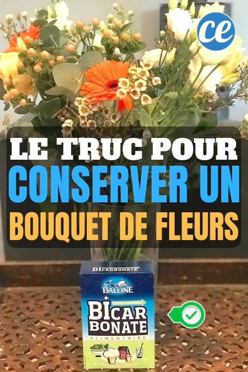 Lastuce De Mon Fleuriste Pour Faire Durer Un Bouquet De