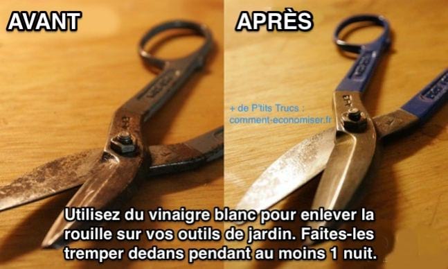 Des outils rouillés avant et après utilisation du vinaigre blanc