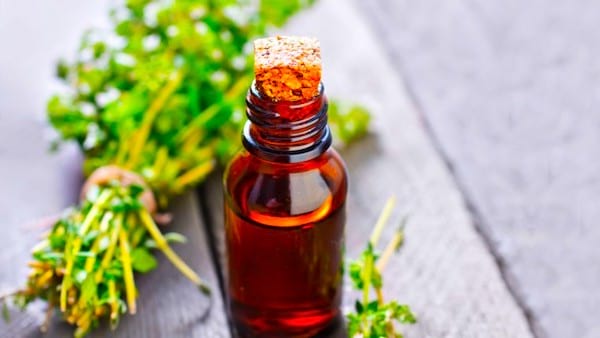 L'huile essentielle de thym est idéale pour lutter contre les coups de froid.