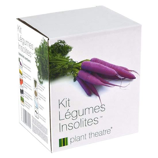 Un kit pas cher pour faire pousser à la maison des légumes insolites